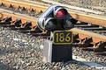 Railroad light