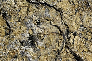 Rock Vein