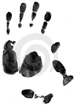 Free Stock Photo - Hand Prints