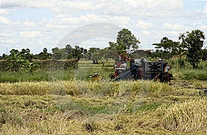 Paddy Harvesting Machine