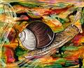 Snail