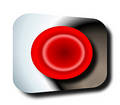 Panic button