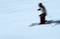 Skier in action 2