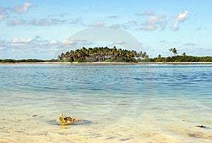 Tropický Ostrov se Nachází na Maledivách.