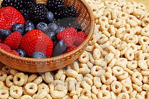 Ciotola di frutti di bosco (mirtilli, fragole, more) contro cereali.