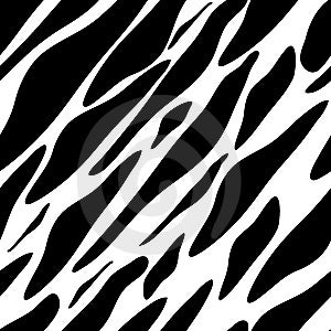 Bezšvové zebra textúrou, čierna a biela ()
