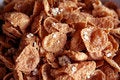 Cereal Flakes Closeup free stock photo