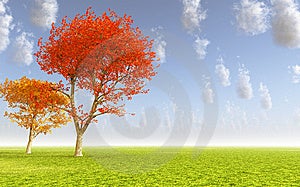 Podzimní krajina s barevnými stromy.