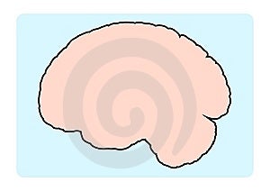 Lidský mozek silueta, vektorové ilustrace.