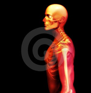 X-ray obraz človeka, v ktorom môžete vidieť Skelton pod kožu.