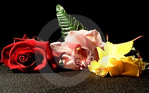 Tu sú tri kvety, orhidee, red rose a žlté ruže.