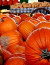 Pumpkin Farm free stock photo