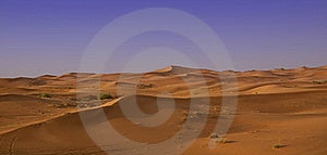 Baby Düne Wüste.