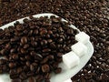 Coffe beans free stock image