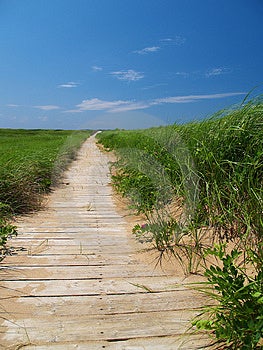 Wodden Cestu za duny pláži amdist vysokej tráve.