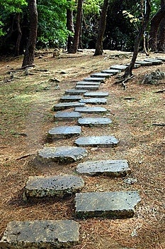 Un sentiero di pietra che conduce ad una collina nel bosco.