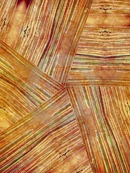 Jedinečný abstraktné prírodného dreva a obilia vzor so svetlom zlato hnedé červenej farby.