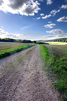 Fotografie venkovské silnici (polní cesta) v Dánsku.