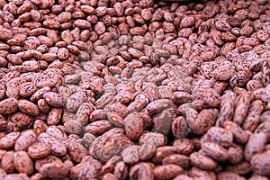 Background of beans Stock Images Background of beans Stock Images