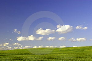 Green field (zelené Pole a Modrá oblačnom počasí.