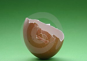 Rotto il guscio d'uovo.