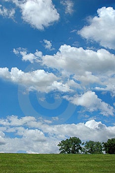 Nubes árboles sobre el verticalmente formato.
