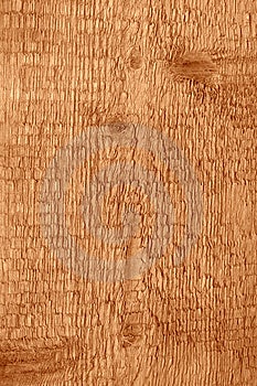 Textura de madera de abeto.