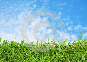 Green grass and blue sky Royalty Free Stock Photography Green grass and blue sky Royalty Free Stock Photography