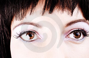 Ritratto di una bella brune occhi.