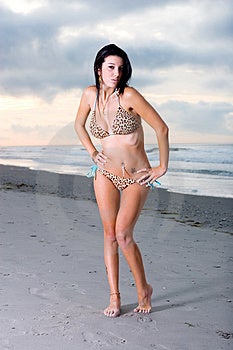 Krásná mladá dáma na pláži v leopardí bikiny.