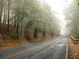 Horská Cesta v daždi.