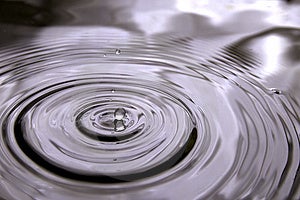 Muy extrano en Agua rechazar es un solo conmovedor Agua superficie, gracias sobre el próximamente rechazar, Agua superficie tener tiene círculo ondas reflexiones.
