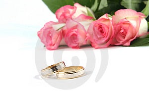 Snubné prstene a ruže na bielom pozadí.