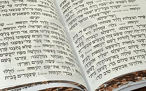 Ebreo la Bibbia religione imparentato.