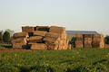Hay Bales on Farm free stock image