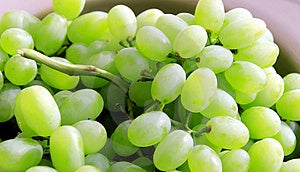 Verde uvas Ellos son únicamente, limpieza regenerador comida.