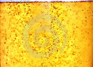 Pohár piva close-up s bubliny.