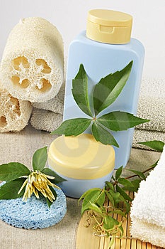 Kúpeľňa zloženie s prírodnými produktmi, SPA kozmetiky.
