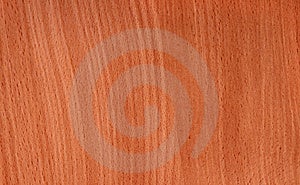 Vysoké rozlíšenie leštené drevo textúry.
