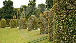 Barroco jardín él era creado en 1719 es un uno de el mas grande barroco jardín en alemania.