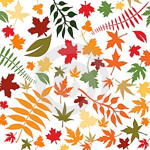 Abstraktní květinové pozadí s podzimní listí, vektorové ilustrace.