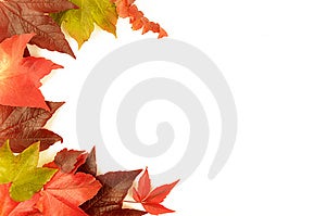 Una selezione di vibrante foglie di autunno su sfondo bianco.
