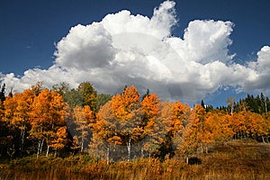 Hohen Berg, der Flach in den Herbst mit allen Farben des Herbstes mit den Bergen im hintergrund.