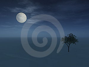 Noc, spln nad horizont s osamelý strom.