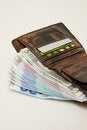 Fat wallet free stock photo