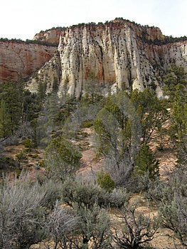 Paesaggio colpo di uno dei riccamente colorate formazioni rocciose a Parco Nazionale di Zion, nello Utah.