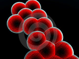 Dies ist ein Bild von einigen verschmolzen Blutkörperchen.